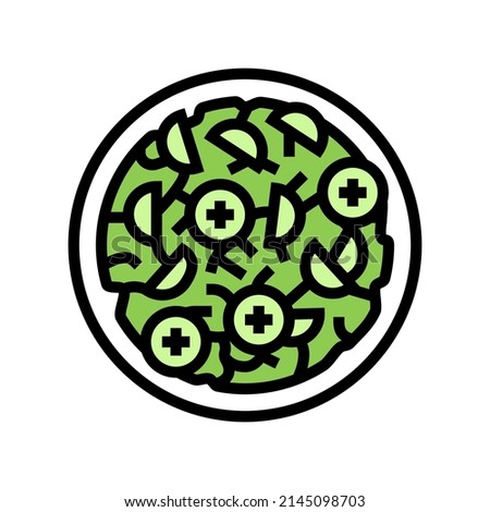 salad cucumber color icon vector. salad cucumber sign. isolated symbol illustration