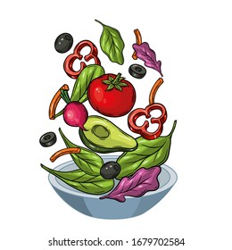 Salad dish with salad leaf, vegetables, tomato, avocado, pepper, olives. Hand drawn vector illustration isolated on white background.