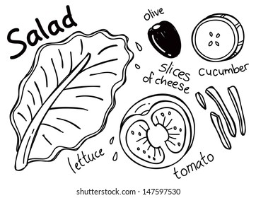 Salad in doodle style