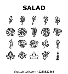 salad food healthy green fresh icons set vector. vegetable bowl, meal lunch, dish dinner, lettuce tomato, plate vegetarian, diet salad food healthy green fresh black contour illustrations
