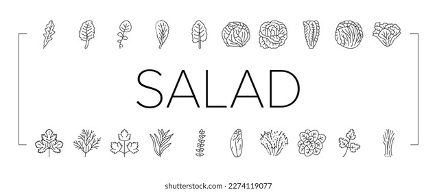 salad food healthy green fresh icons set vector. vegetable bowl, meal lunch, dish dinner, lettuce tomato, plate vegetarian, diet salad food healthy green fresh black contour illustrations