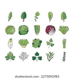 ensalada comida saludable verde fresco iconos set vector. tazón vegetal, almuerzo para comidas, cena de platos, tomate de lechuga, plato vegetariano, ensalada dietética alimentos ilustraciones de línea fresca verde saludable