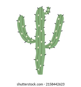 Salad green cactus. Doodle hand drawn western plant element naive vector art on white isolated background