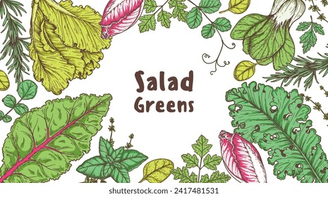 Salad greens frame. Healthy food. Hand drawn vector illustration. Cooking salad. Vegan food.