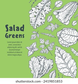 Salad greens set. Healthy food. Hand drawn vector illustration. Cooking salad. Vegan food.
