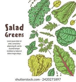 Salad greens set. Healthy food. Hand drawn vector illustration. Cooking salad. Vegan food.