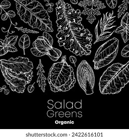 Salad greens sketch set. Hand drawn vector illustration. Cooking salad. Vegan food.