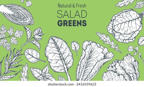 Salad greens sketch set. Healthy food. Hand drawn vector illustration. Cooking salad. Vegan food. 