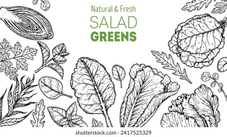 Salad greens sketch set. Healthy food. Hand drawn vector illustration. Cooking salad. Vegan food.