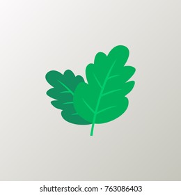 salad icon flat isolated on clean background lettuce salad icon concept sign for your web site, mobile, logo, app and UI design salad icon vector illustration