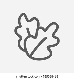 Salad icon line symbol. Isolated vector illustration of lettuce sign concept for your web site mobile app logo UI design.