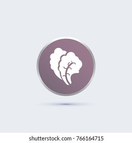 salad icon. vegetable sign