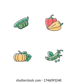 Salad ingredient RGB color icons set. Whole cucumber with slices. Bulgarian peppers. Pumpkin for thanksgiving. Raw vegetables for cooking. Veggies for dieting. Isolated vector illustrations