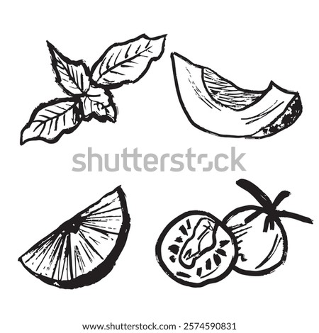 Salad ingredients cherry tomato, avocado, lemon and basil leaves in black brush stroke texture isolated on white. Hand drawn vector sketch illustration in vintage charcoal. Pesto recipe