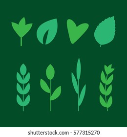 Salad ingredients. Leafy vegetables vector flat icons set. Organic and vegetarian, borage and radichio. Organic vector