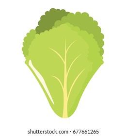 Salad leaf icon in cartoon flat style isolated object vegetable organic eco bio product from the farm vector illustration