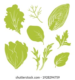 Salad leaves and herbs: lettuce, chicory, swiss chard, arugula, dill, parsley. Colorful line sketch collection of vegetables and herbs isolated on white background. Doodle hand drawn vegetable icons. 