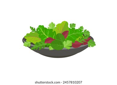 Salad leaves on plate isolated on white. Mix of green leafy vegetables. Vector cartoon flat illustration. Healthy food icon.
