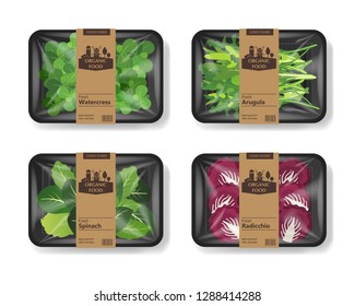 Salad leaves with plastic tray container with cellophane cover. Retro design set. Mockup template for your salad design. Plastic food container. Vector illustration.