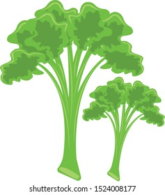 salad leaves vector simple designs illustration