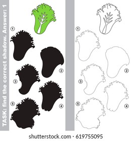 Salad Lettuce with different shadows to find the correct one, compare and connect object with it true shadow, the educational kid game with simple gaming level.