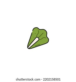 salad lettuce icon, vector illustration