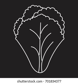 Salad outline icon vector illustration for design and web isolated on black background. Salad vector object for labels logos and advertising