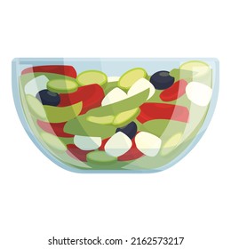 Salad Plate Icon Cartoon Vector. Healthy Food. Fresh Dish