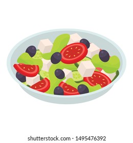 Salad plate icon. Isometric of salad plate vector icon for web design isolated on white background