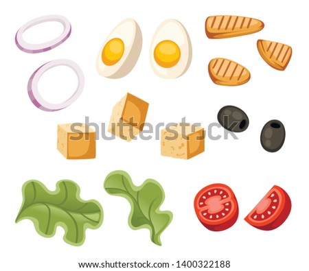 Salad recipe. Caesar salad ingredient. Fresh vegetables cartoon icon design food. Flat vector illustration isolated on white background