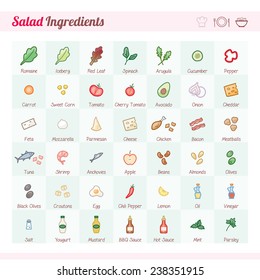 Salad recipe ingredients vector icons set with text