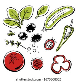 Salad set: tomatoes, cucumbers, olives, spinach, pepper. Colorful sketch collection of vegetables and herbs isolated on white background. Doodle hand drawn vegetable icons. Vector illustration
