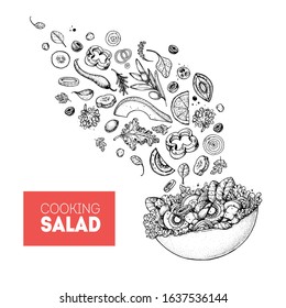 Salad sketch. Food illustration. Cooking salad design. Food menu elements. Hand drawn. Flying salad concept. Vector illustration on white background. Healthy and organic food. Vegan menu.