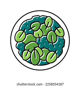 salad with spinach color icon vector. salad with spinach sign. isolated symbol illustration