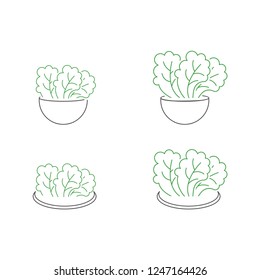 Salad Vector Designs Collection - healthy vegetables food and bowl
