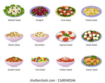 Salad vector healthy food with fresh vegetables tomato or potato in salad-bowl or salad-dish for dinner or lunch illustration set of organic meal isolated on white background