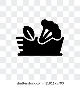 Salad vector icon isolated on transparent background, Salad logo concept