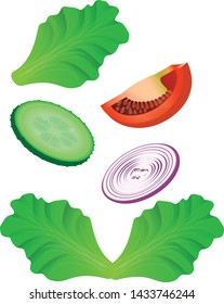 Salad vegetable, vector. Salad in a bowl. Detailed Vector Icon. Series of food and drink and ingredients for cooking. Detailed Vector Icon. Series of food and drink and ingredients for cooking.