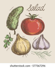 Salad Vegetables Line Illustration Set Doodle