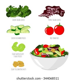 Salad with vegetables on white background - tomatoes, green cucumber, green salad, celery, pine nuts, purple salad - Isolated bowl of salad 