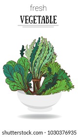 salad in white bowl vector illustration , hand drawing vector, three kinds of lettuce leaves