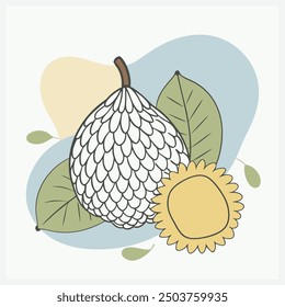 Salak Fruit Vector Illustration  Exotic and Detailed Design