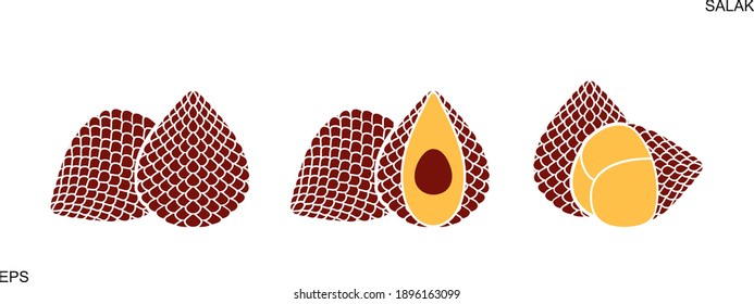 Salak logo. Isolated salak on white background