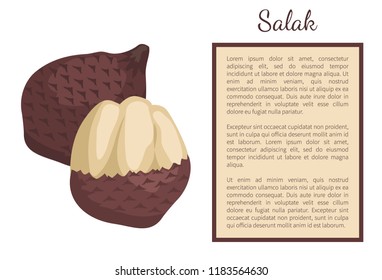 Salak Salacca zalacca palm tree exotic juicy fruit whole and cut vector poster frame and text. Tropical edible food, dieting vegetarian tropical dessert