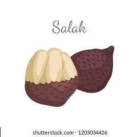 Salak Salacca zalacca palm tree exotic juicy fruit vector whole and cut isolated. Tropical edible food, dieting vegetarian tropical nutritious dessert