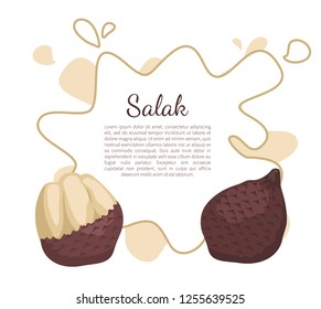 Salak Salacca zalacca palm tree exotic juicy fruit vector poster frame and text. Tropical edible food, dieting vegetarian tropical nutritious dessert