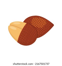 Salak set design with isolated whole and halved sweet tropical snake fruit. Exotic vegan food in flat detailed vector style for packaging, designs, decorative elements