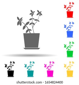 salal leaves multi color style icon. Simple glyph, flat vector of plants icons for ui and ux, website or mobile application