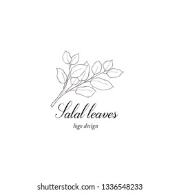 Salal plant branch. Greenery design element. Botanical hand drawn logo.