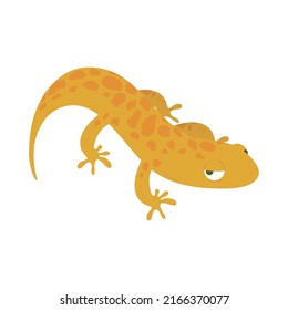 salamander amphibian animal isolated icon